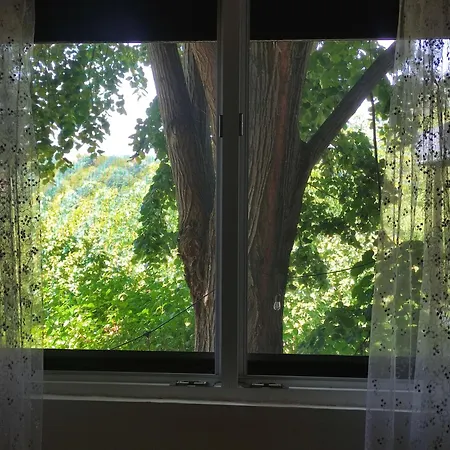 Kucica Osmeha * Donja Ralja